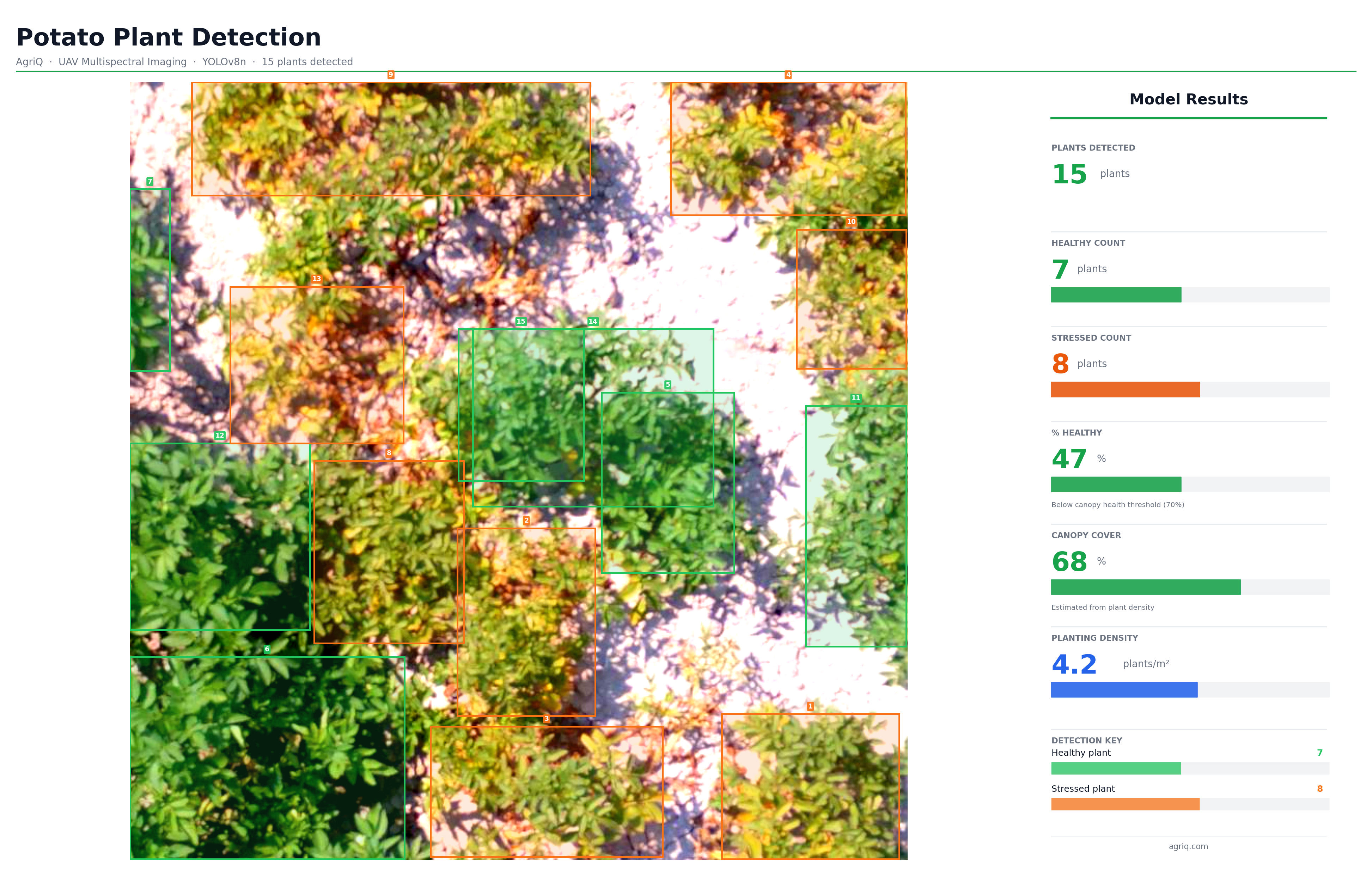 Potato plant detection agriQ model